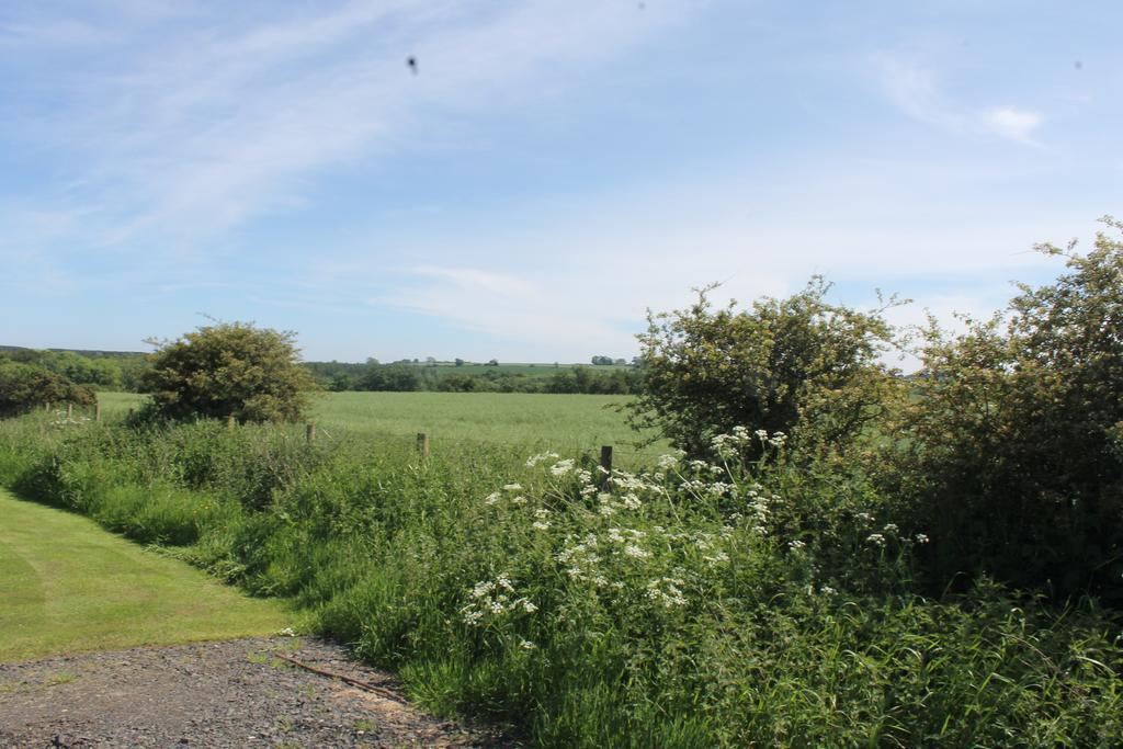 The Offshot Villa Alnwick Oda fotoğraf